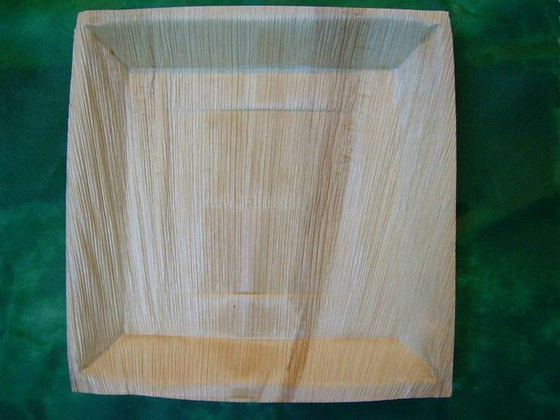 10 platos cuadrados grandes