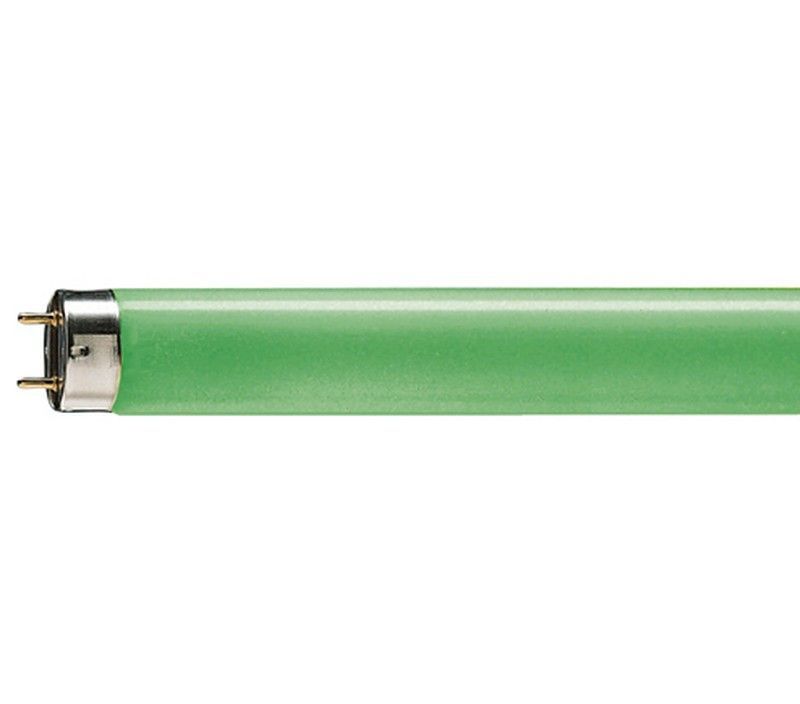 4008321170927 osram lámpara t5 39w/66 ho flh1 verde