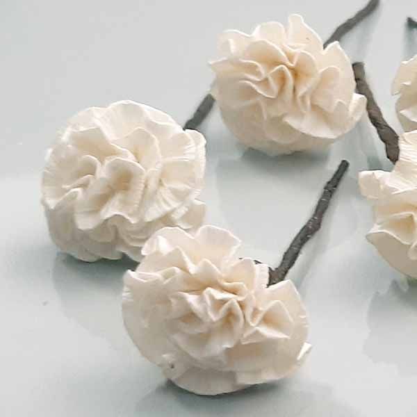 5 Claveles Para el Pelo