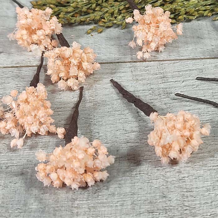 5 Paniculata Rosa para el Pelo