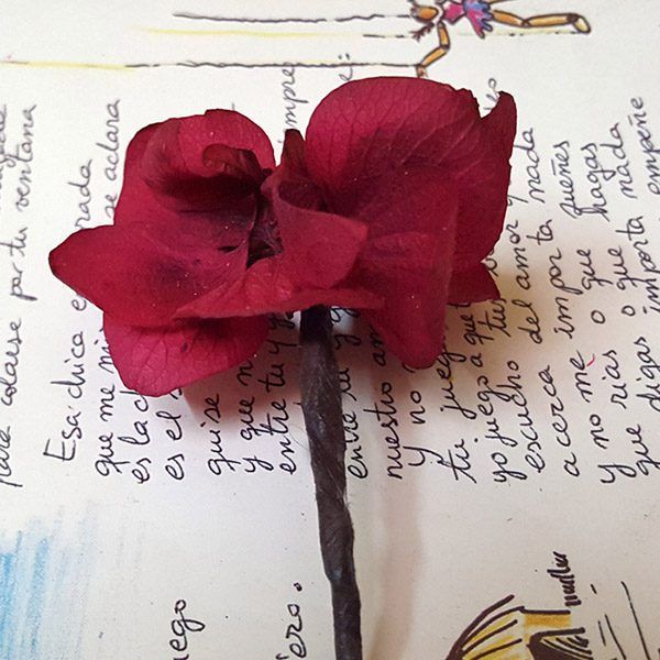 5 Pins Hortensia Burdeos