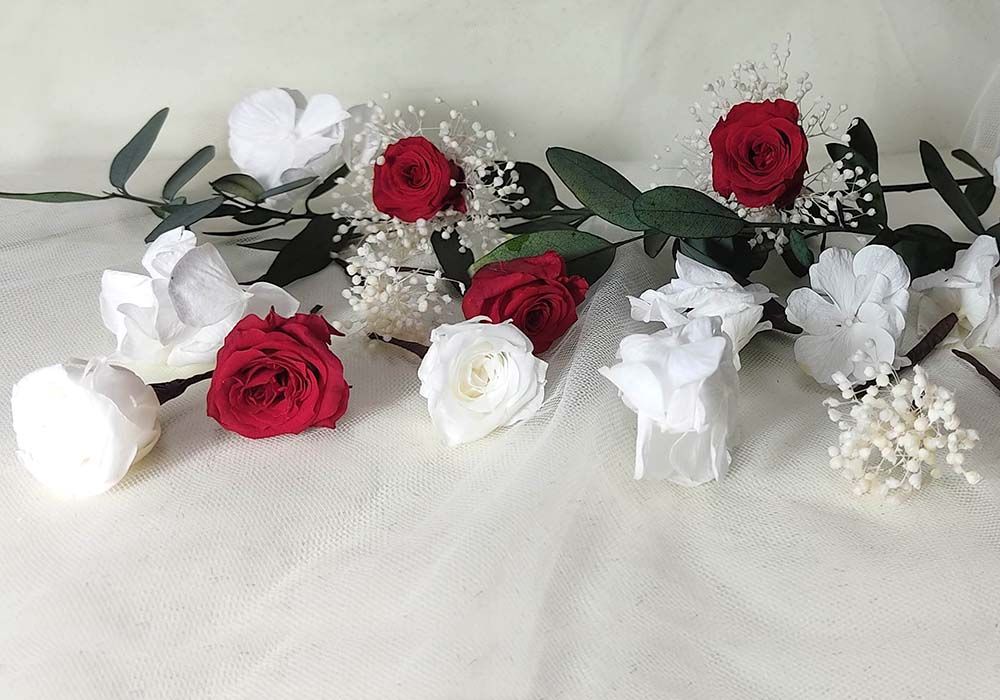 5 Rosas Hortensia Paniculata Blanca