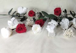 5 Rosas Hortensia Paniculata Blanca