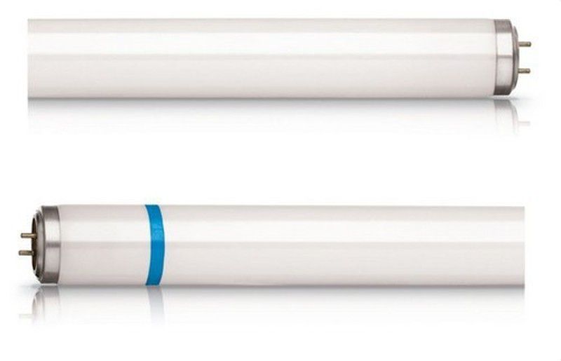 86085600 philips fluorescente atrapainsectos tl-dk 36w/10secura