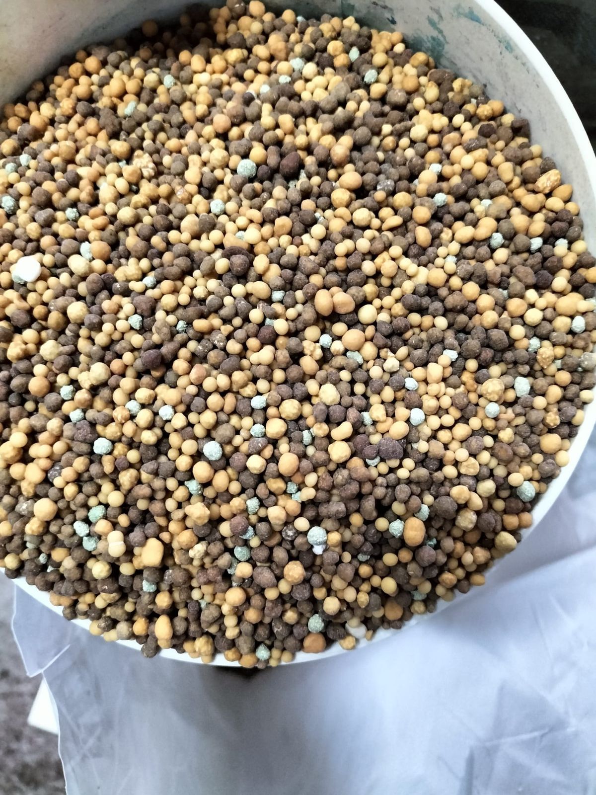 Abono para árboles, trepadoras y todo tipo de arbustos