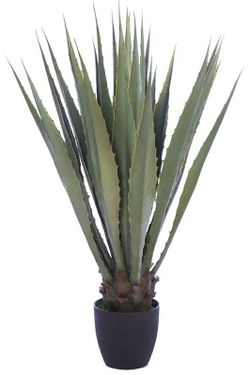 Agave artificial
