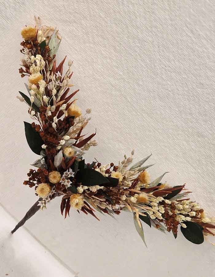 Alas de Mariposa Isis