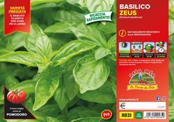 Albahaca Da Vinci 6 Plantas En pack
