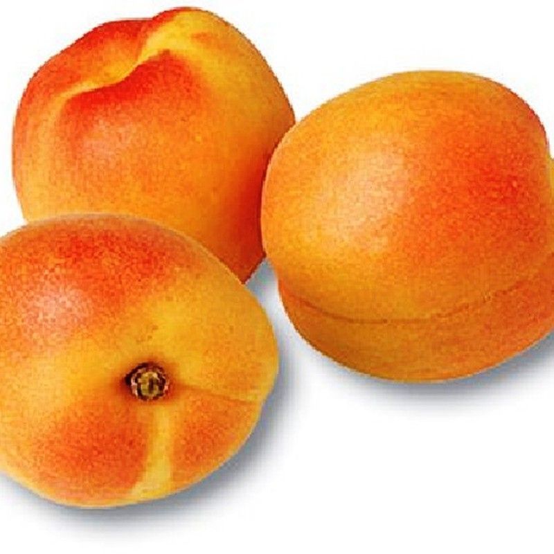 Albaricoquero Enano Apricold