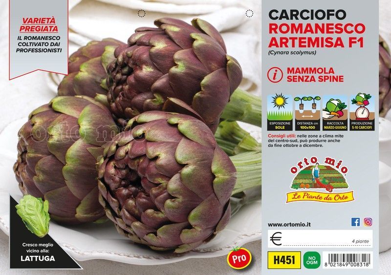 Alcachofa Romanesco o Mammola Emirex 4 Plantas en Pack