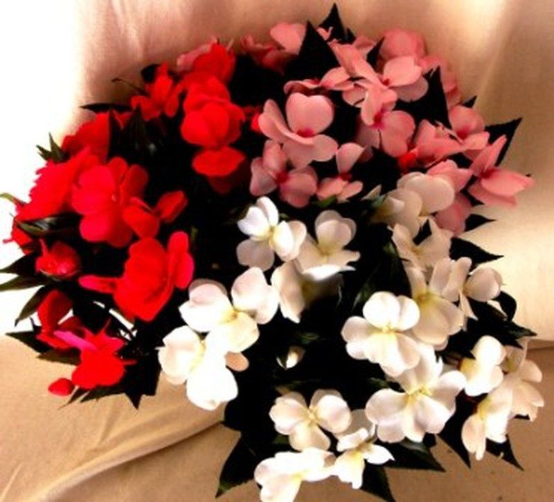 Alegría Guineana Artificial