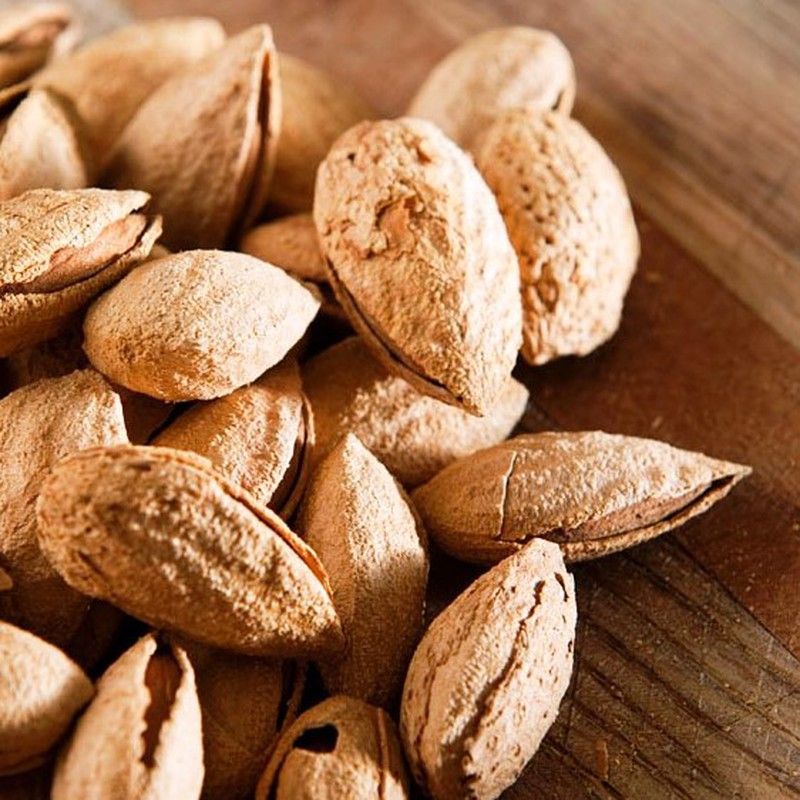 Almendro Enano Prince