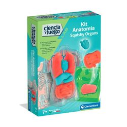 ANATOMIA SQUISHY (ES)