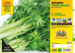 Apio Penca Perfumado Murcia 6 Plantas en Pack
