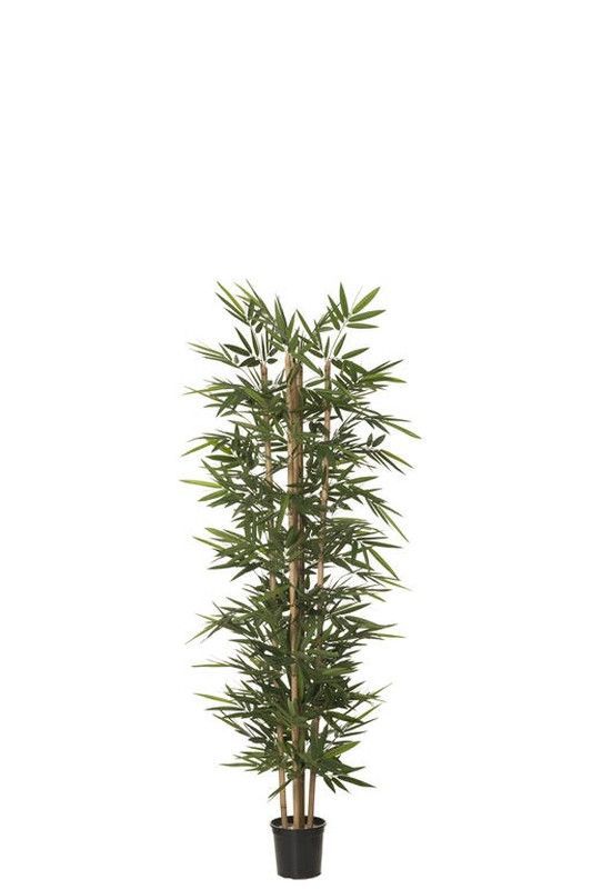 Árbol Bambú X5 120cm