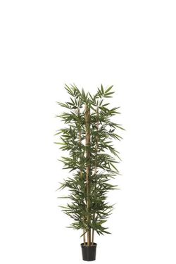 Árbol Bambú X5 120cm