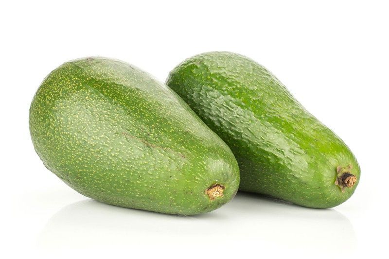 Árbol de Aguacate Bacon