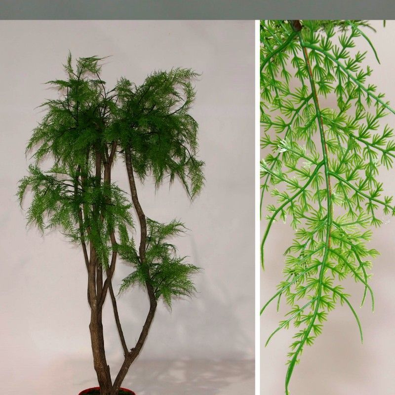 Árbol de esparraguera Artificial Premium