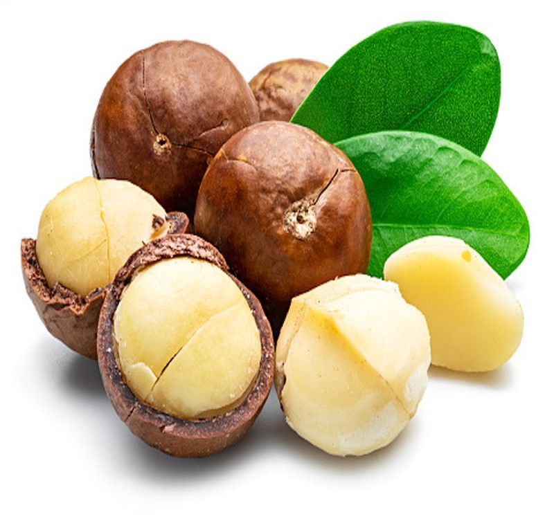 Árbol Nuez de Macadamia