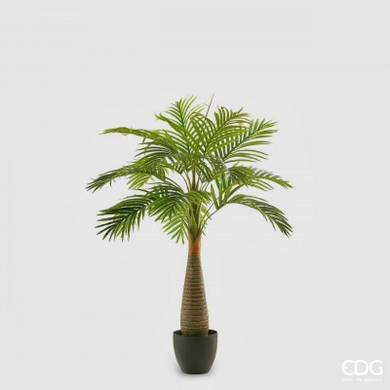 Areca Chic Palma con Maceta, 120cm