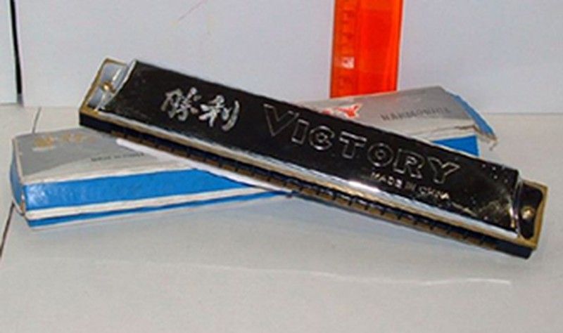 Armonica 48 voces estuche