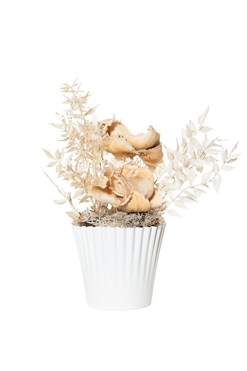 Armónico centro de flores secas y preservadas en tonos naturales