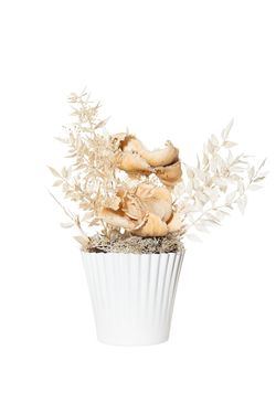 Armónico centro de flores secas y preservadas en tonos naturales