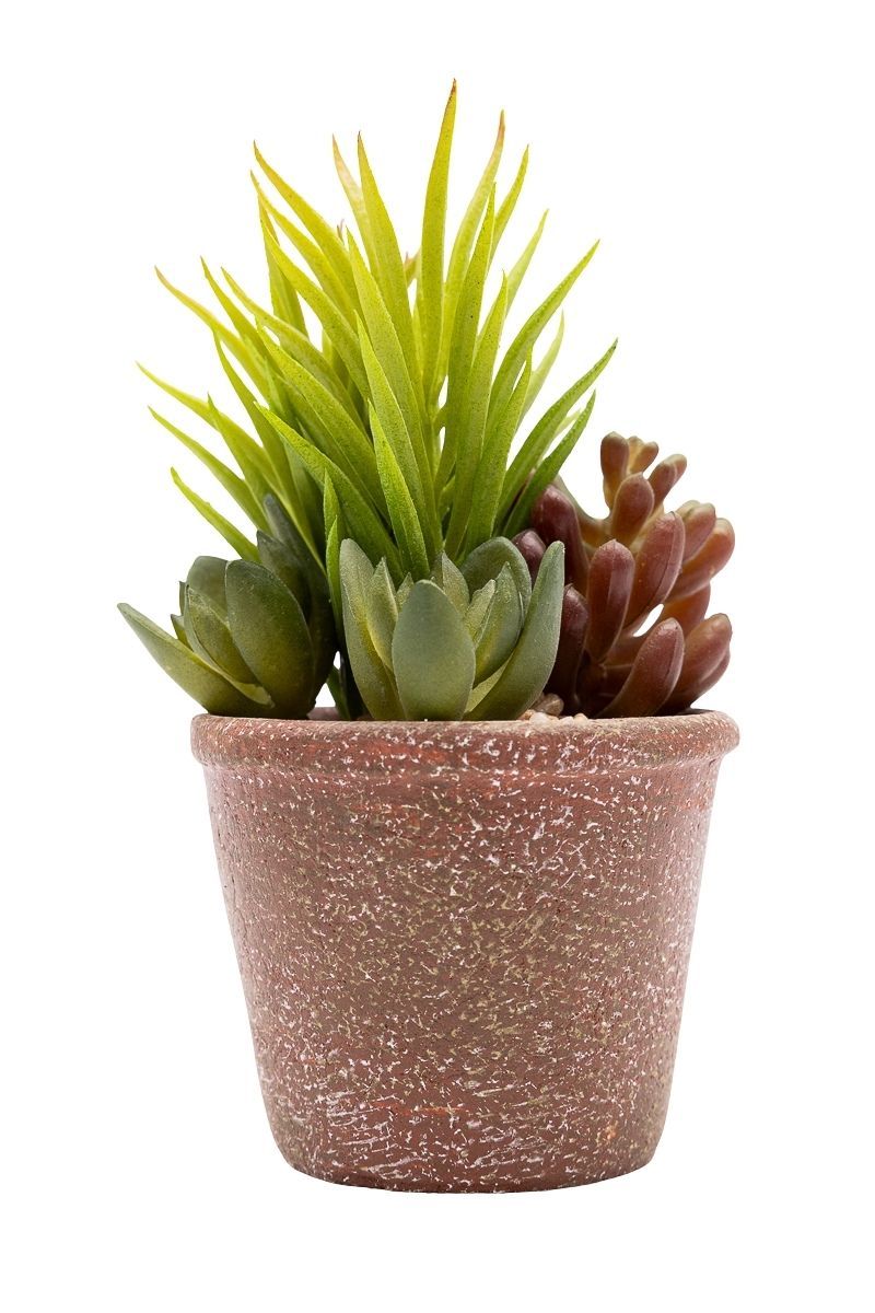 Armoniosa composición de suculentas artificiales