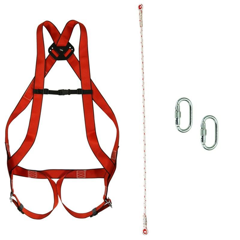 Arnes Anticaida Dorsal 10Basic