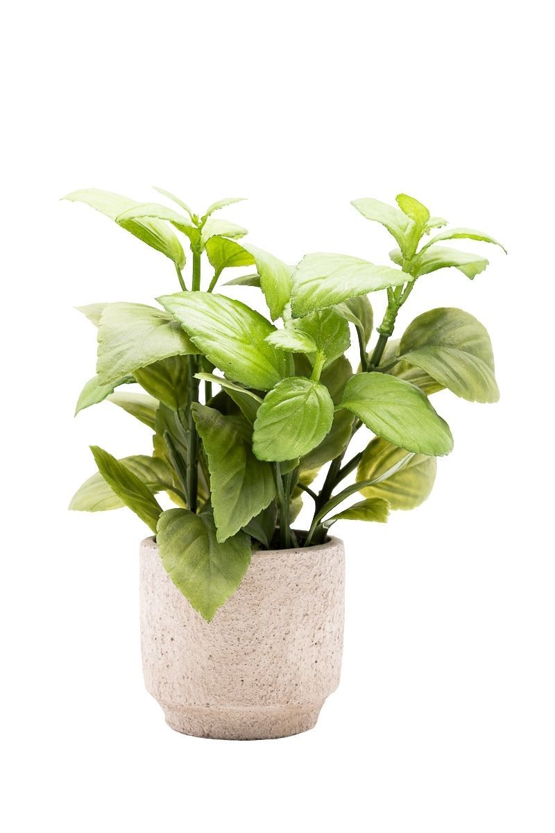 Aromática Albahaca artificial
