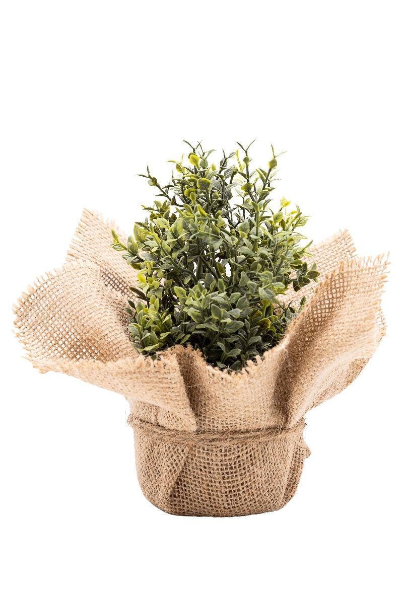 Aromático pequeño Tomillo limón artificial