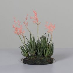 Arreglo de Suculentas en Bola de Barro, 32 CM, 4/24