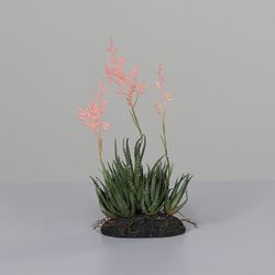 Arreglo de Suculentas sobre Bola de Barro, 31 CM, 6/30