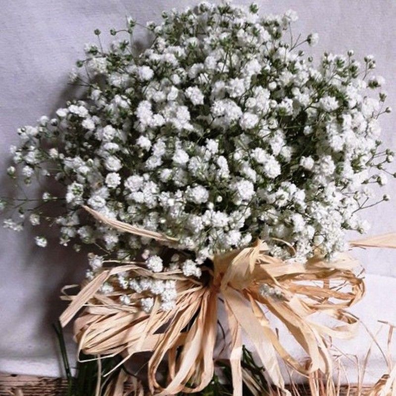 Arreglo paso de Novia