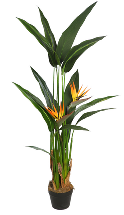 AVE DEL PARAISO ARTIFICIAL 135CM