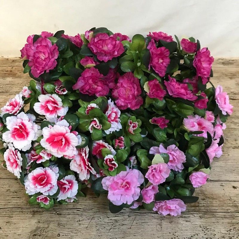 Azalea Artificial