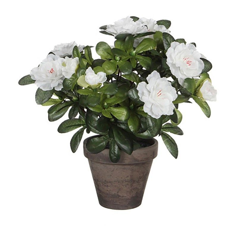 Azalea Artificial Blanca En Tiesto Gris Ø11,5cmx27xø20cm