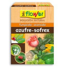 Azufre-Sofrex flower