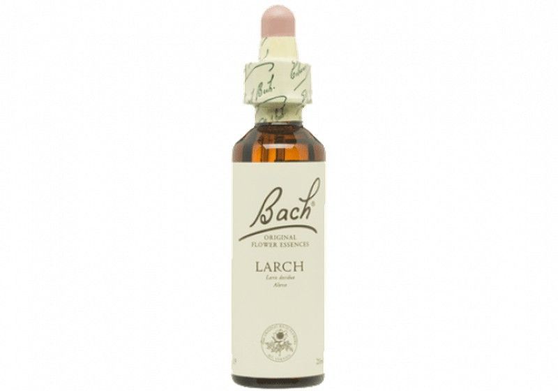 Bach 19 Larch 20 ml Alerce