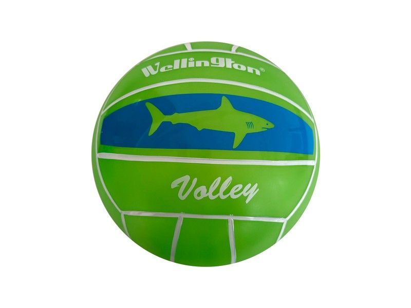 BALON VOLLEY BEACH GOMA 230