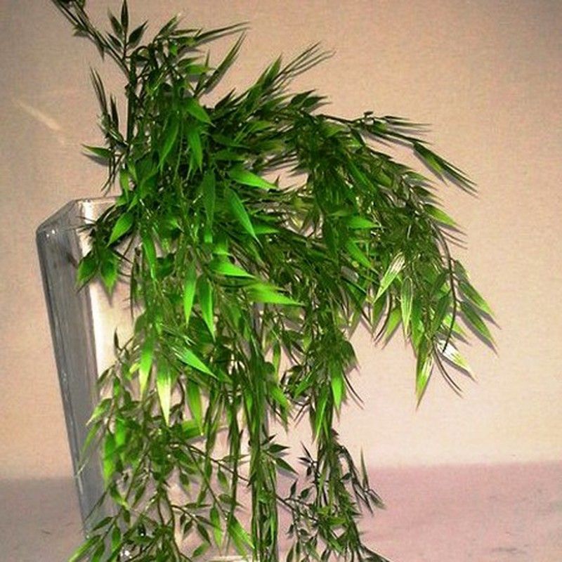 Bambu Colgante Artificial