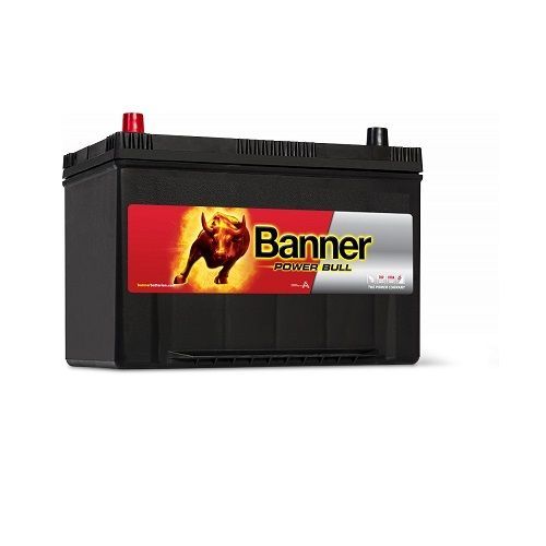 Batería BANNER 12V 95Ah 740A 303X173X225 +Izq. P9505 BANNER