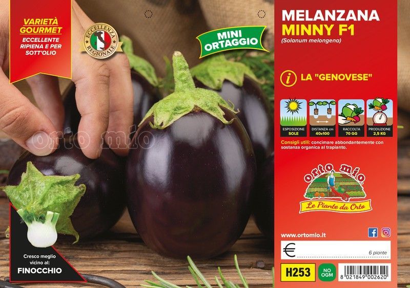 Berenjena Genovese 6 Plantas En Pack