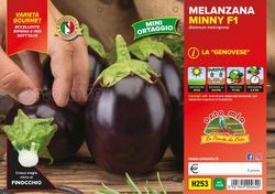 Berenjena Genovese 6 Plantas En Pack