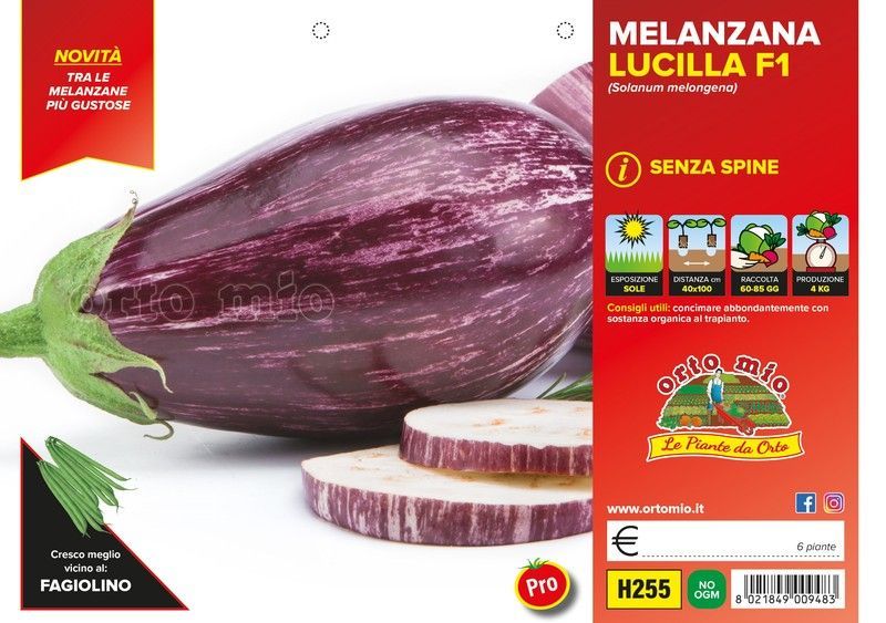 Berenjena Rayada Lucilla F1  6 Plantas en Pack