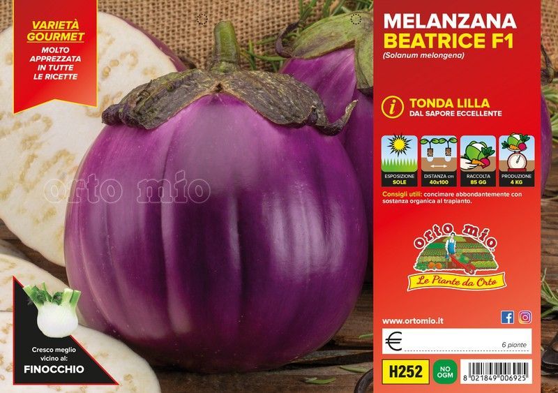 Berenjena Redondoa Beatrice 6 Plantas en Pack