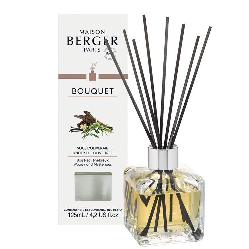 Berger Bouquet Mikado Sous Oliveraie