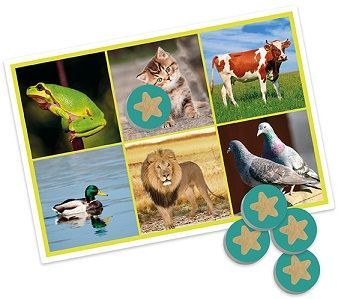 Bingo: Los Animales i la Naturaleza