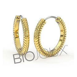 Biojoux Pendientes Hipoalergénicos BJT387 Queen Anne 22mm