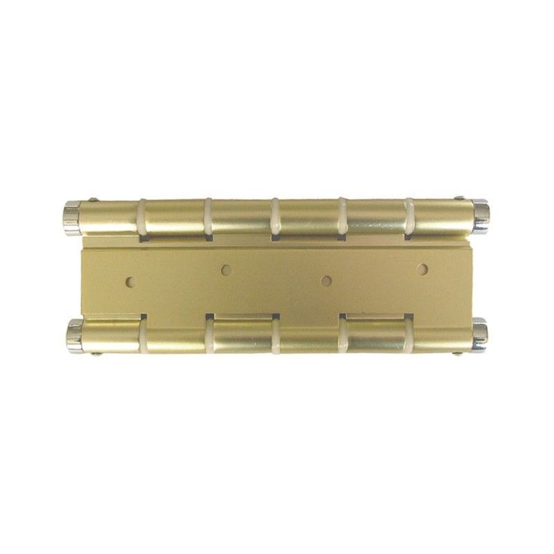 Bisagra doble acciÇün MICEL Bisagra Doble Accion. Plateado.